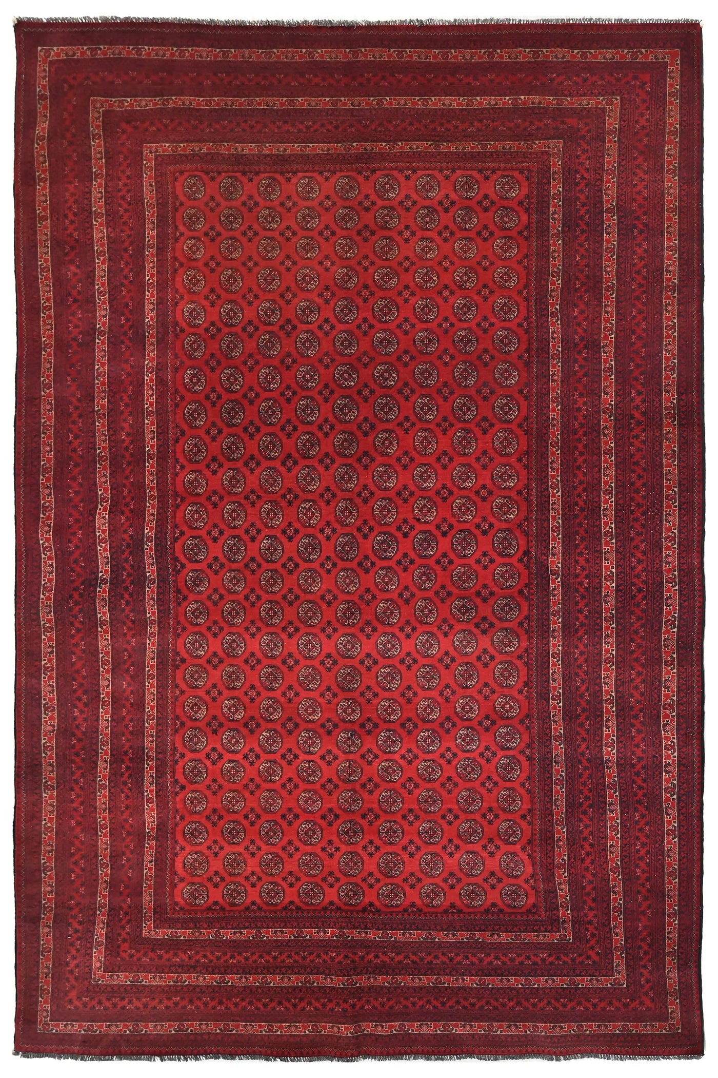 Biljik Afghan Rug – Scarlet Luxury