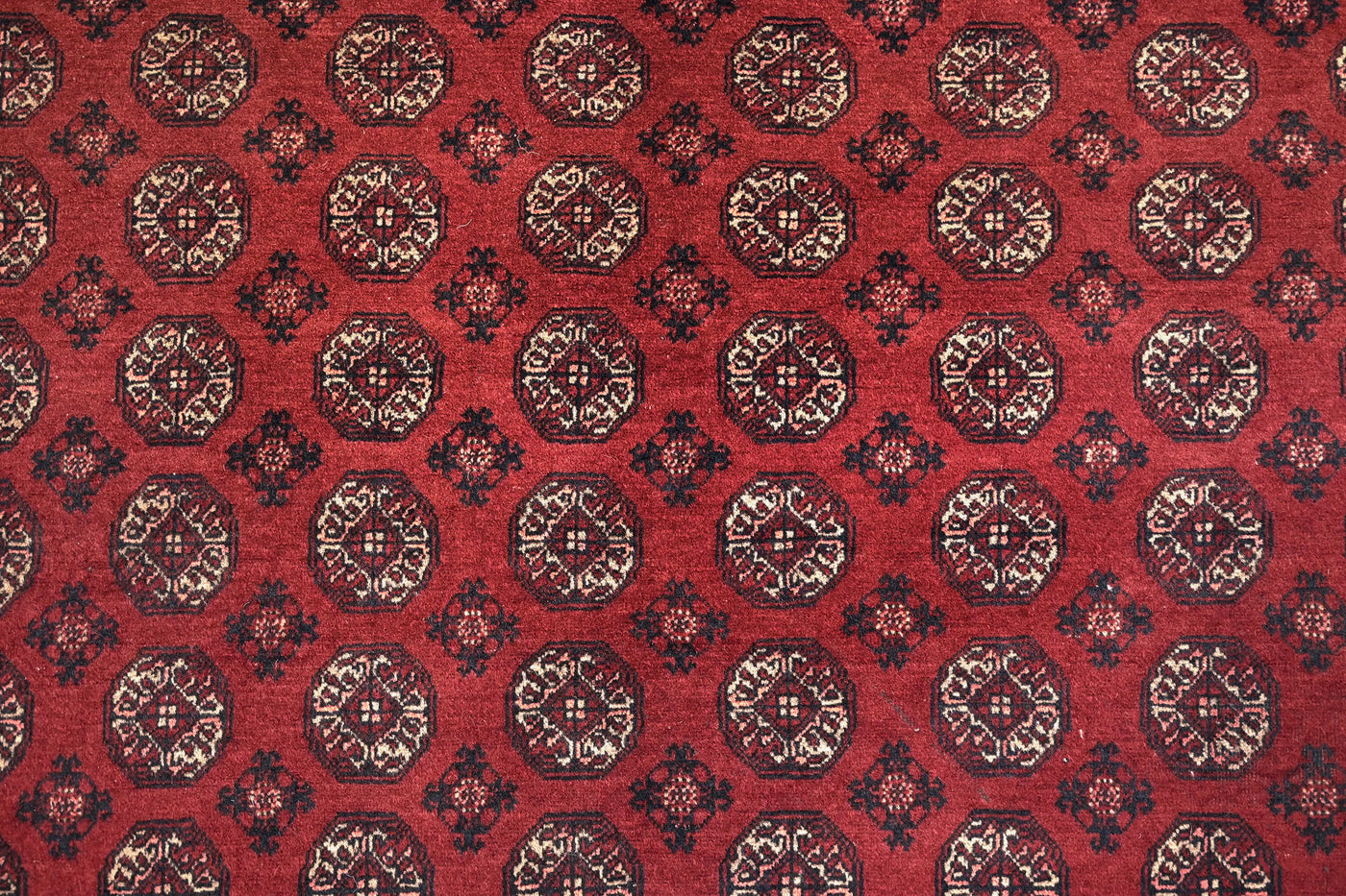 Biljik Afghan Rug – Scarlet Luxury