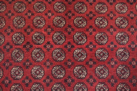 Biljik Afghan Rug – Scarlet Luxury