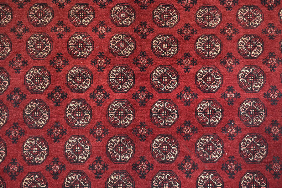 Biljik Afghan Rug – Scarlet Luxury