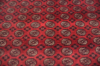 Biljik Afghan Rug – Scarlet Luxury