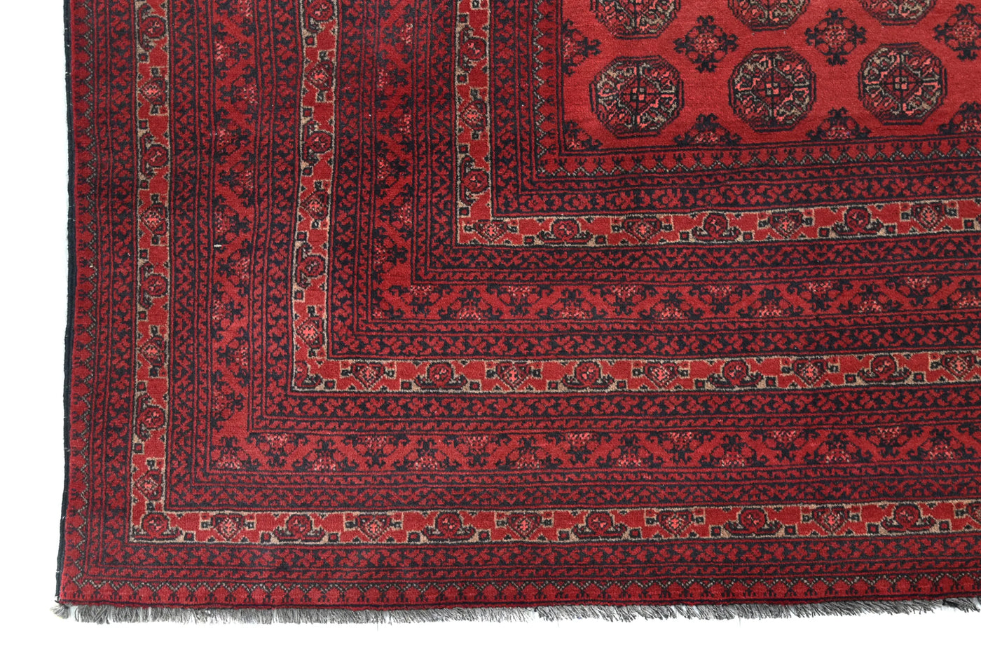 Biljik Afghan Rug – Scarlet Luxury