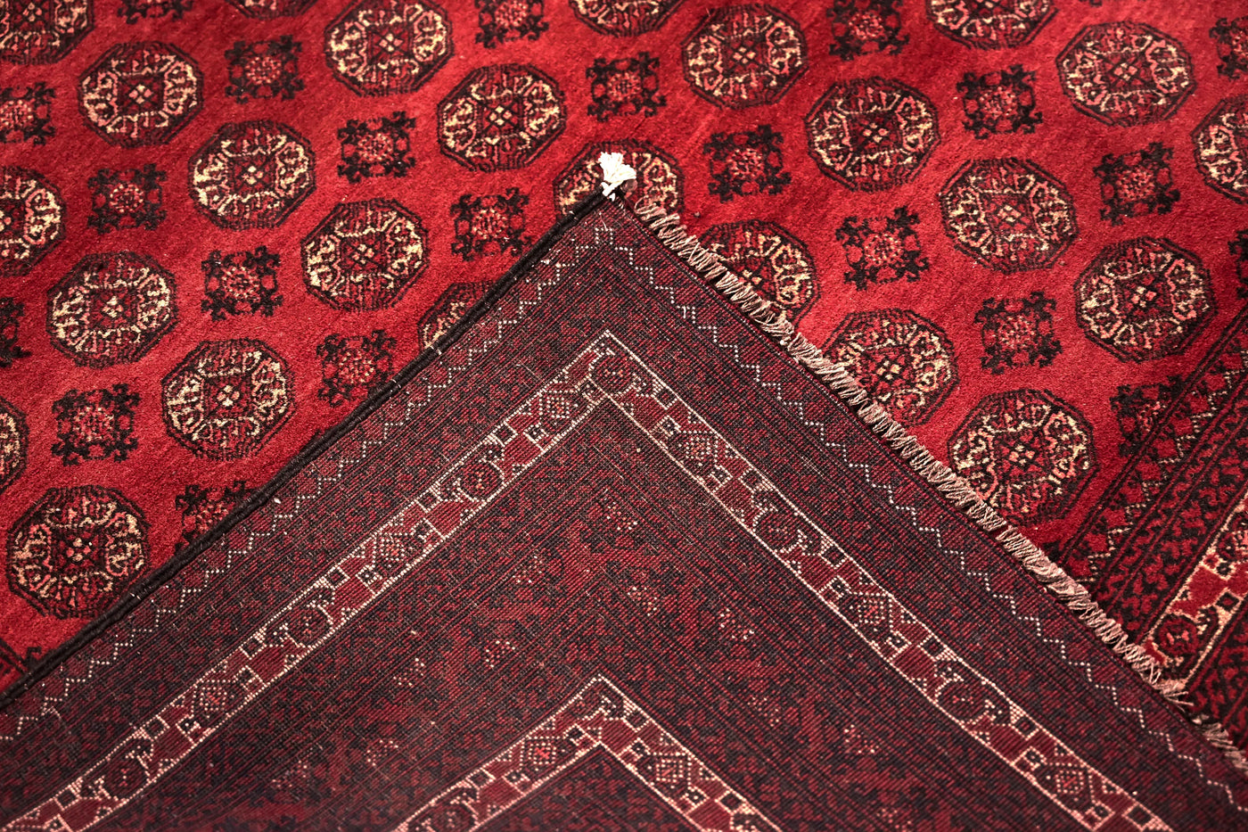 Biljik Afghan Rug – Scarlet Luxury