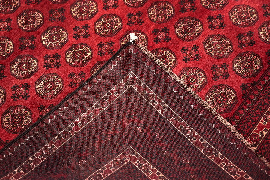 Biljik Afghan Rug – Scarlet Luxury