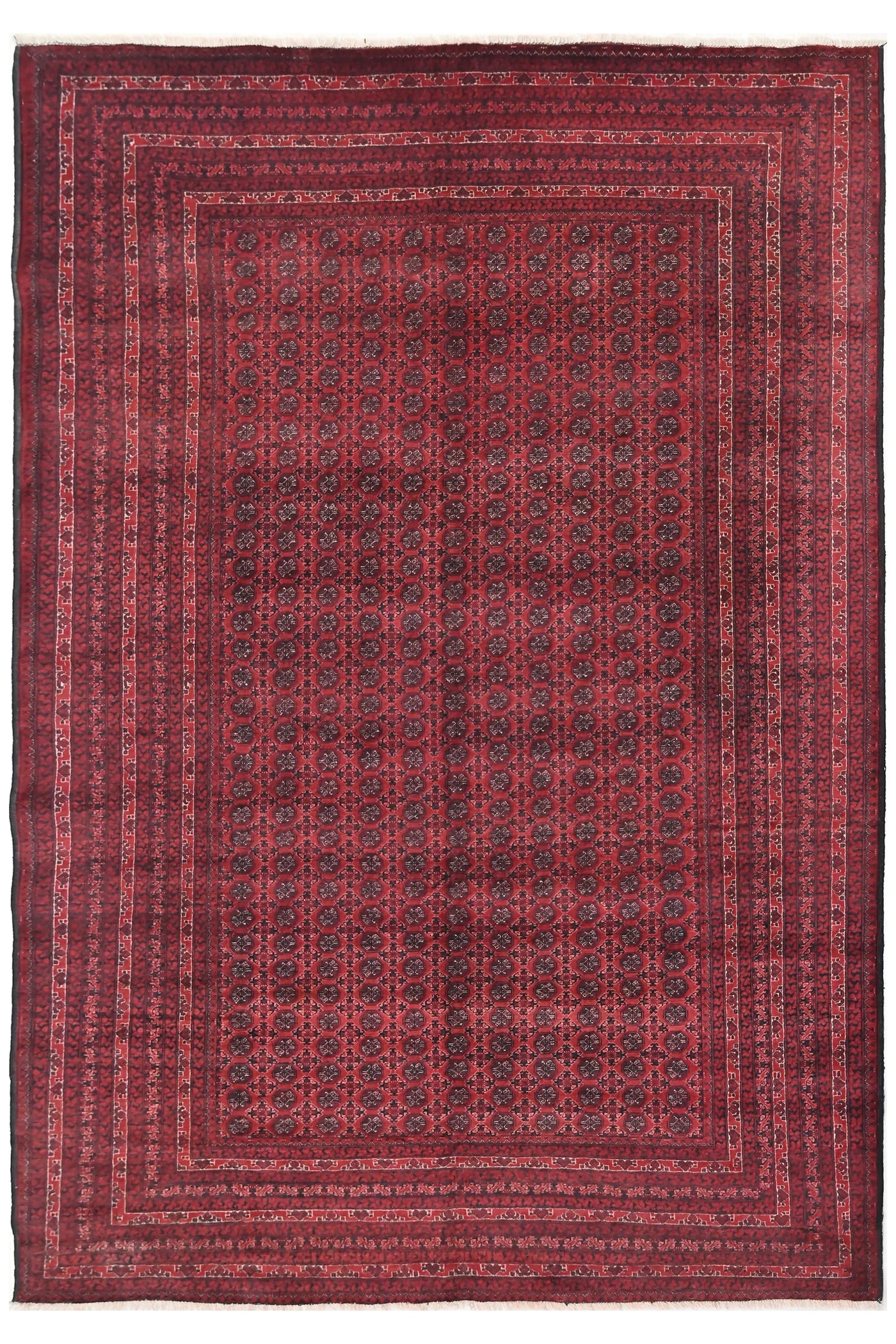 Biljik Afghan Rug – Velvet Wine
