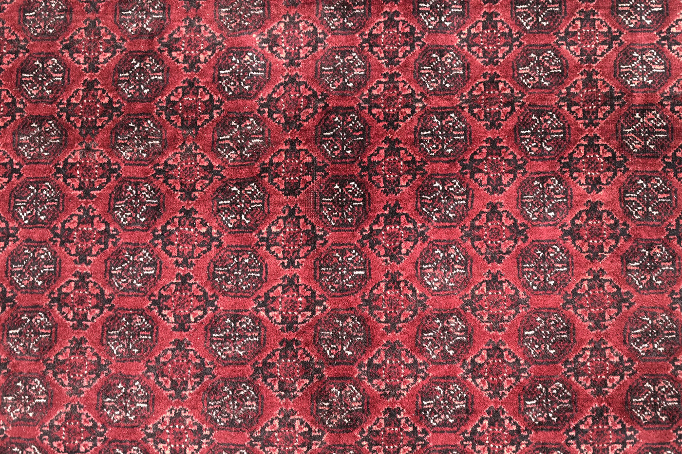 Biljik Afghan Rug – Velvet Wine