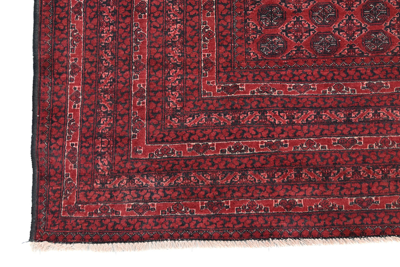 Biljik Afghan Rug – Velvet Wine