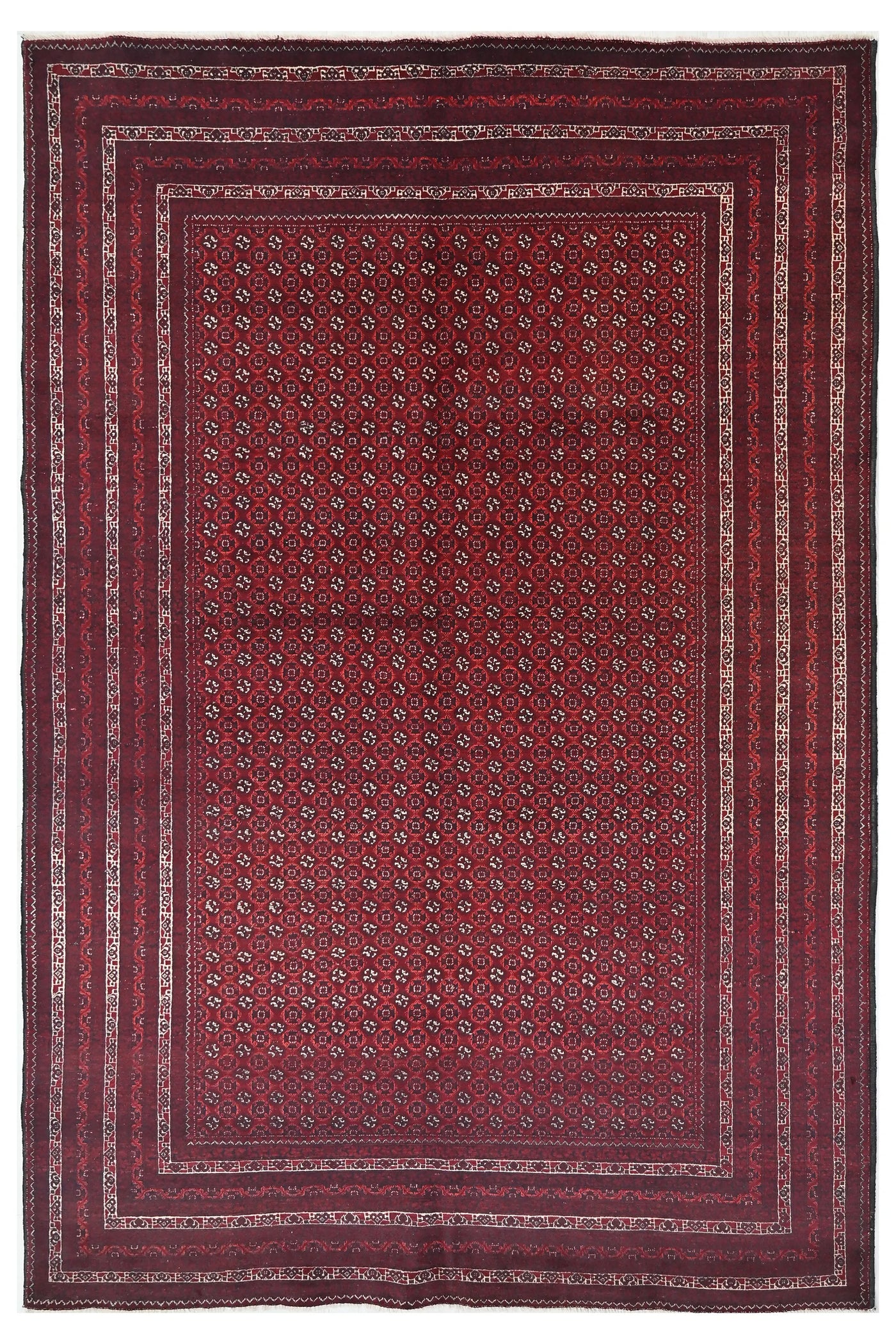 Biljik Afghan Rug – Carmine Edge