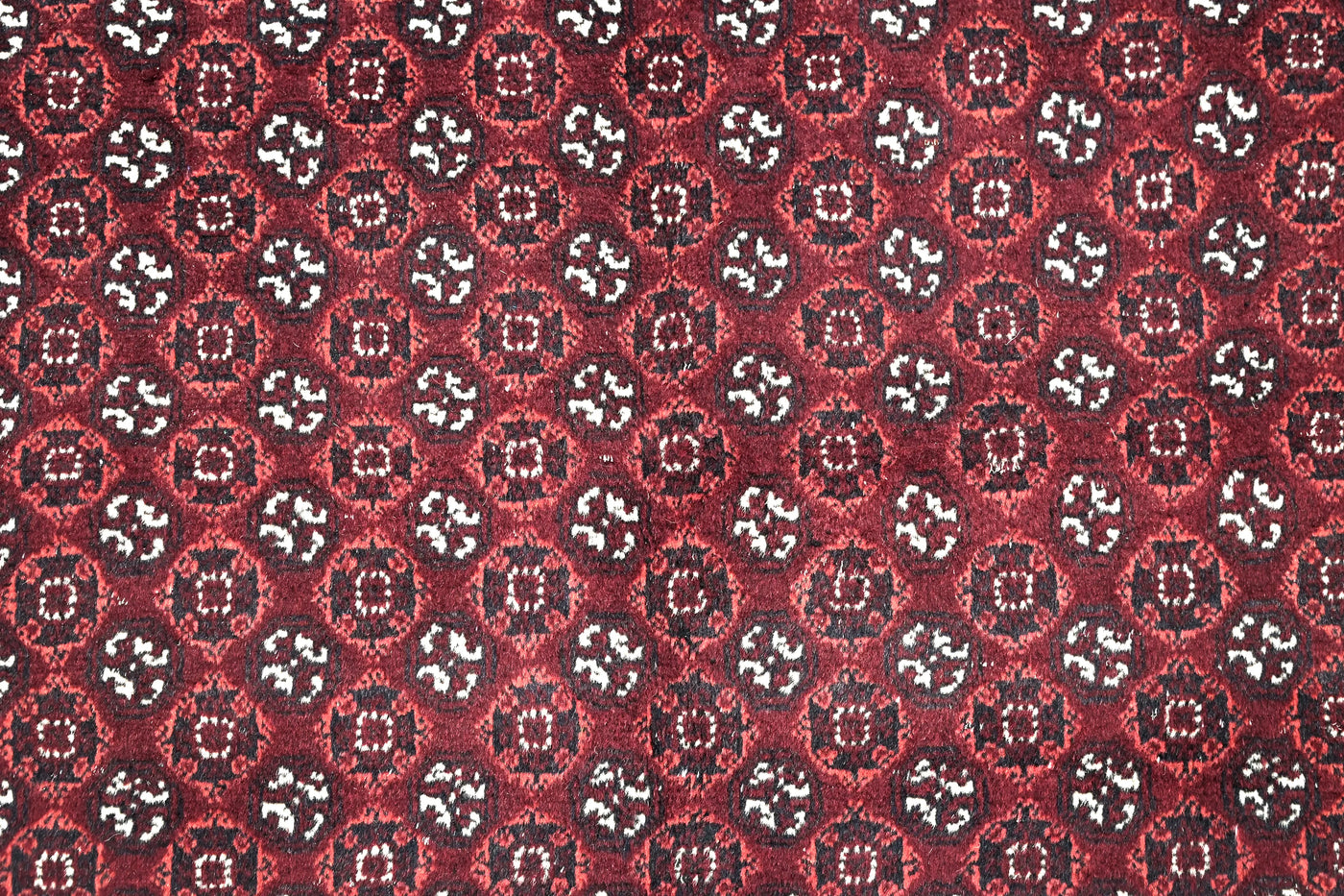 Biljik Afghan Rug – Carmine Edge