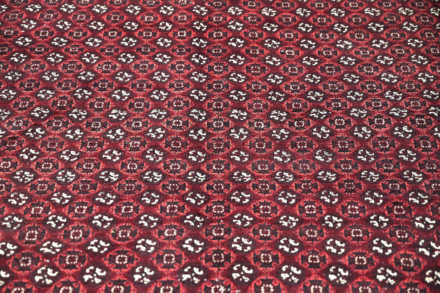 Biljik Afghan Rug – Carmine Edge