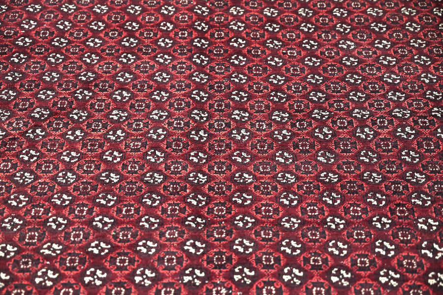Biljik Afghan Rug – Carmine Edge