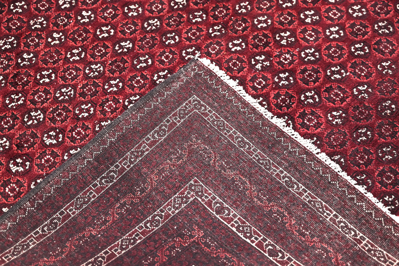 Biljik Afghan Rug – Carmine Edge
