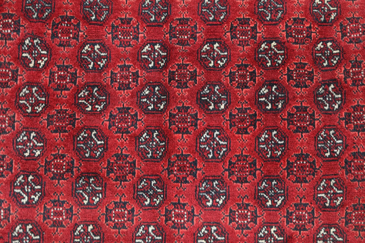 Biljik Afghan Rug – Desert Coral