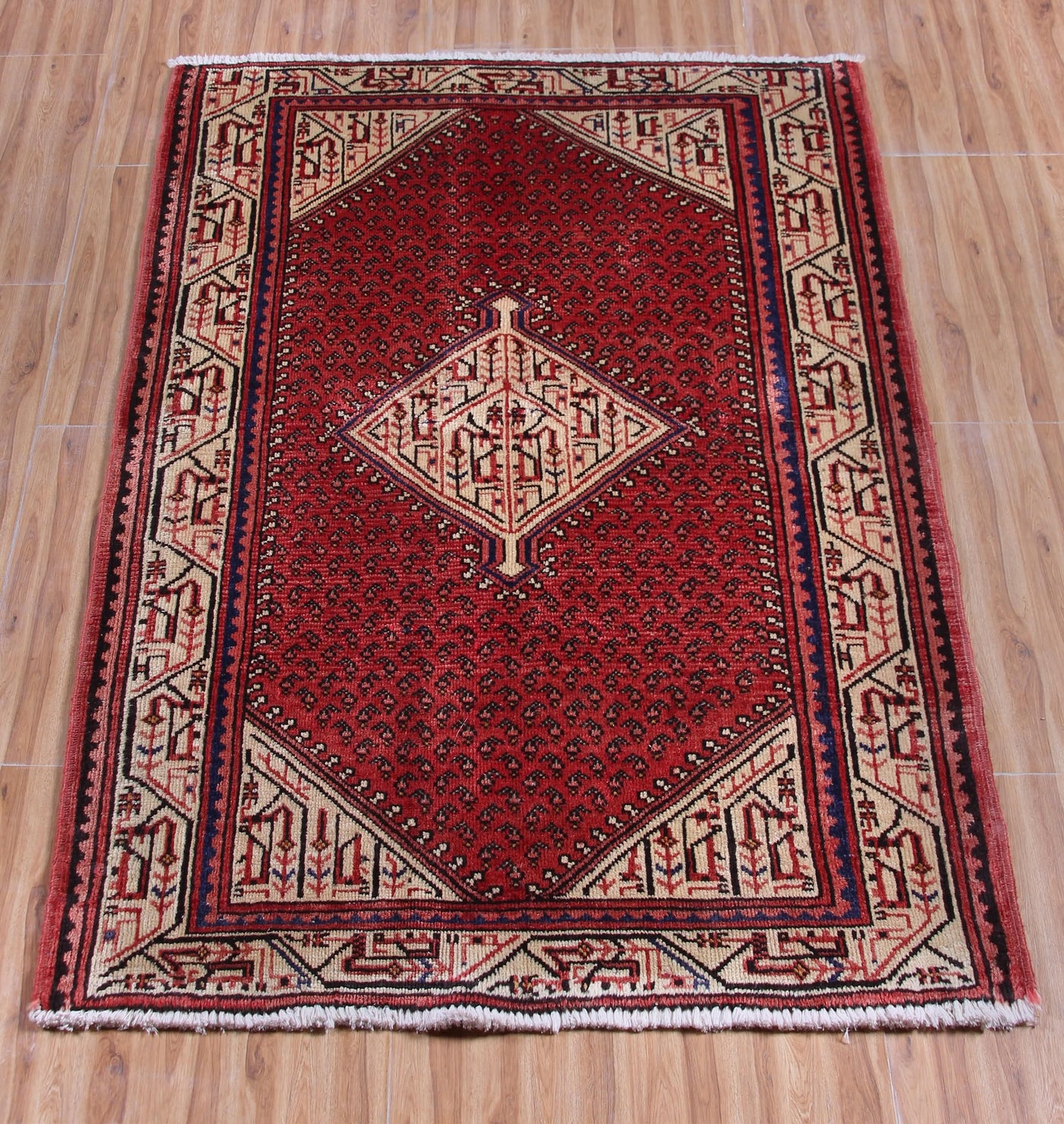 Vintage Arak Persian Rug – Vermilion Mirage