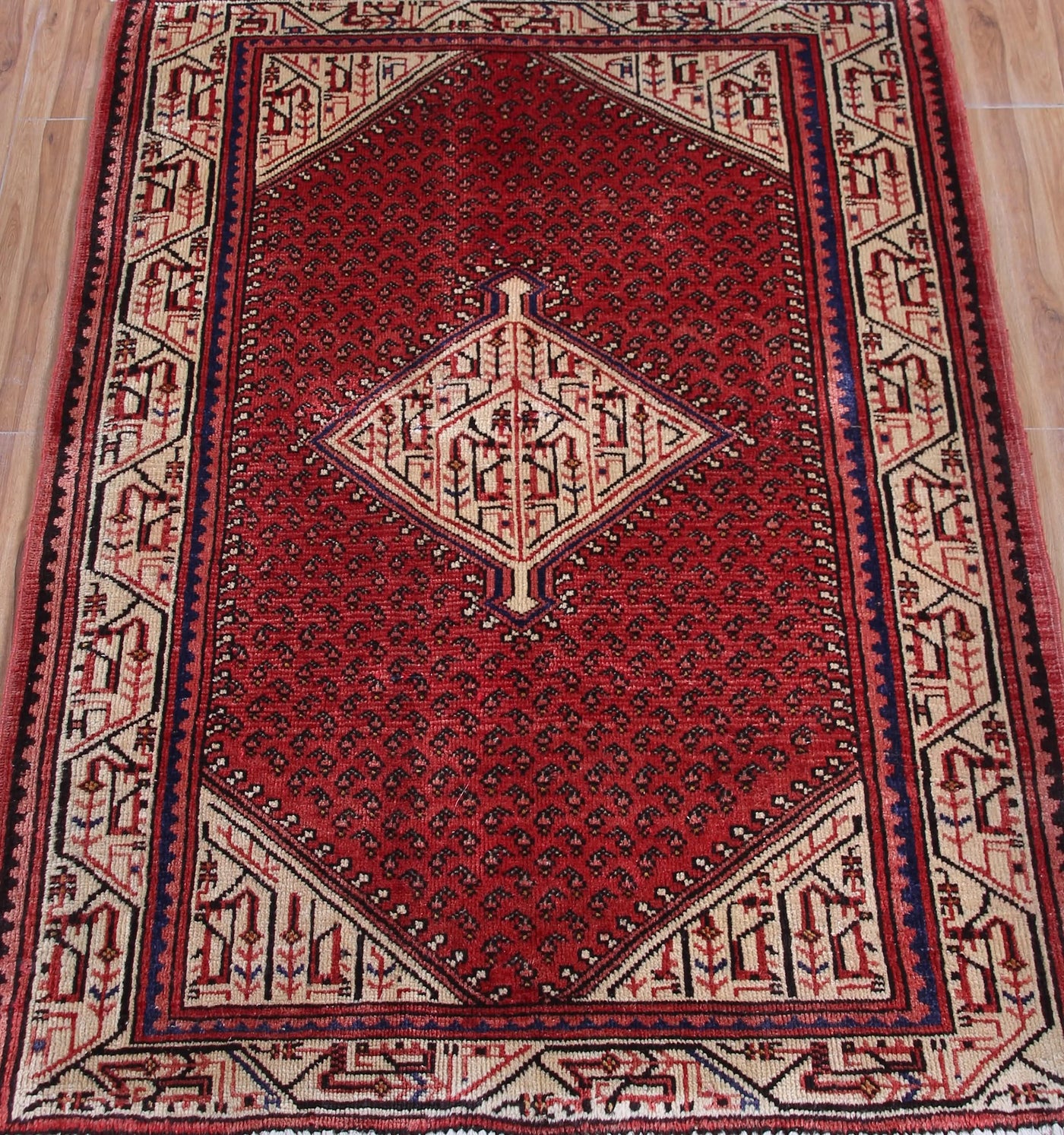 Vintage Arak Persian Rug – Vermilion Mirage