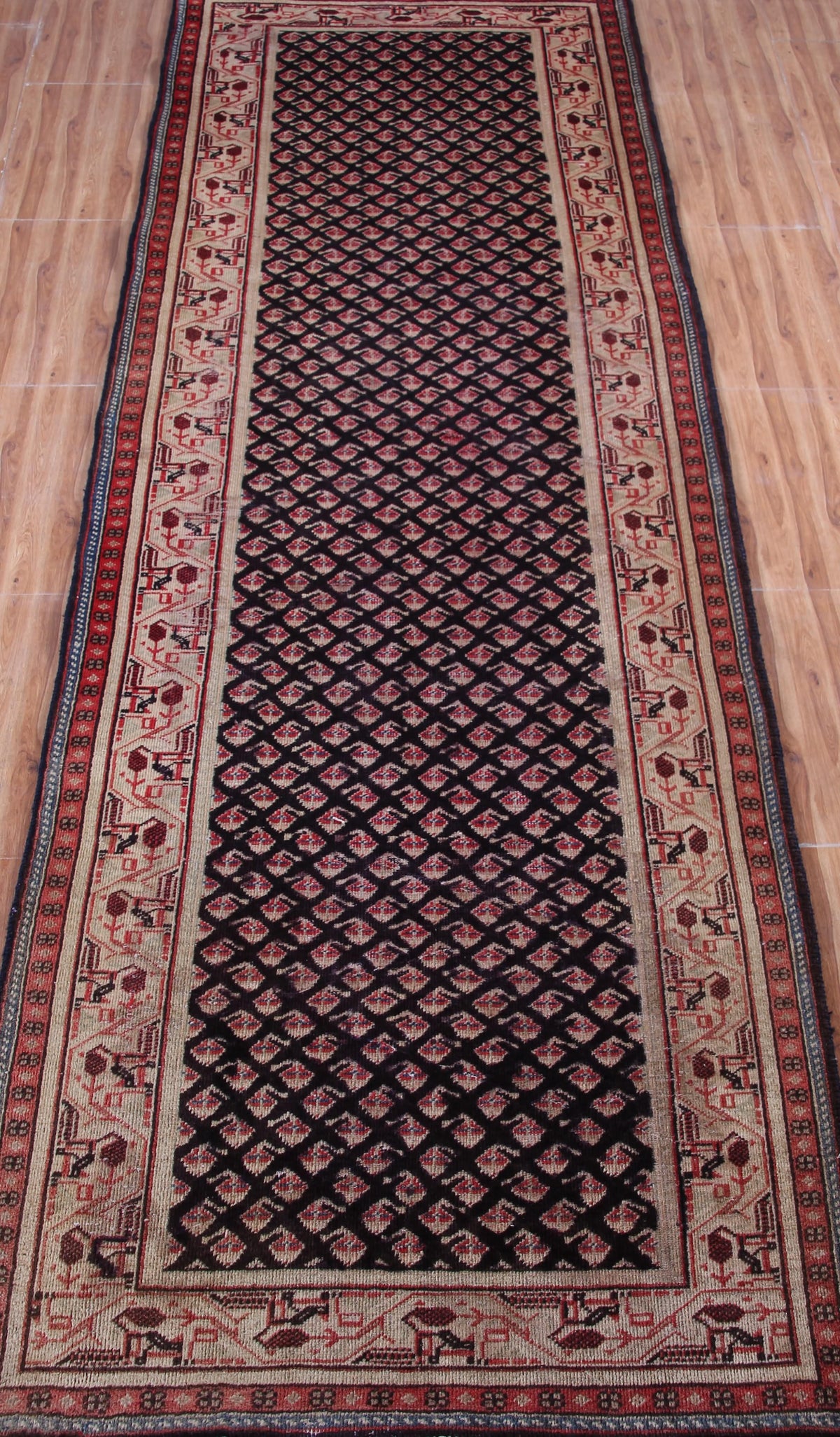 Vintage Arak Persian Runner Rug – Vermilion Cadence