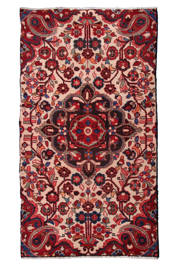 Hamadan Persian Rug, 102 x 198 cm