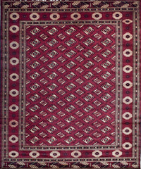 Bukhara Persian Rug, 270 x 387 cm (Clearance)